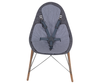 bouncer for baby with liner